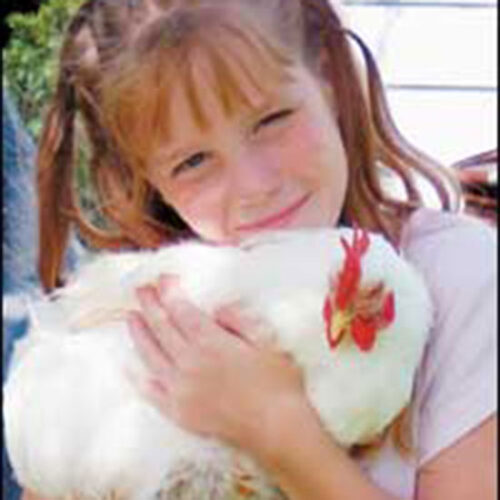 The Finest Fowl Photos